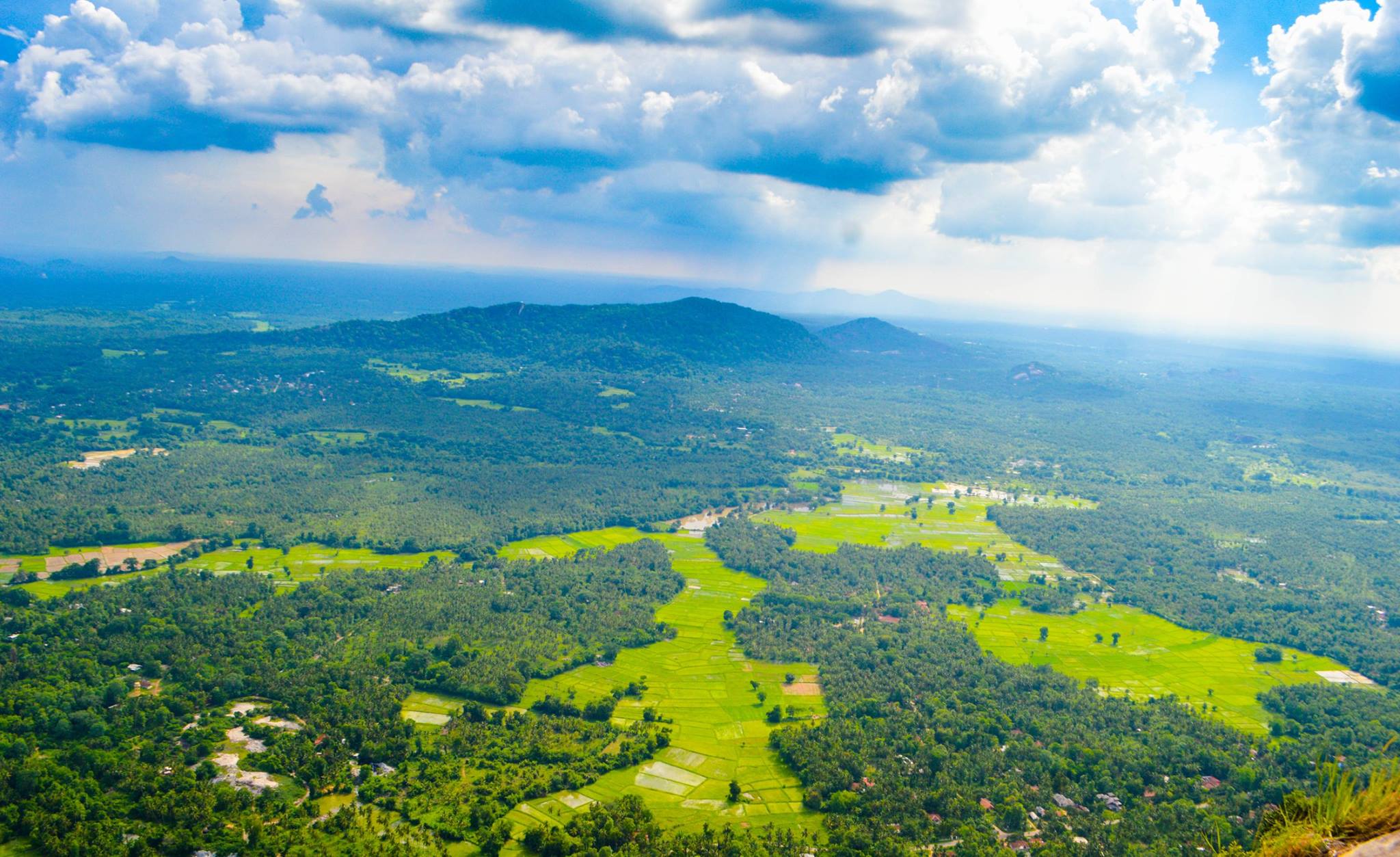  These valleys of Ceylon are rich in sapphires.